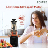 Best Slow Juicer online