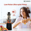 Best Slow Juicer online