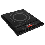FIP ZION ZX 1400W INDUCTION