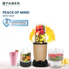 FSB SPORTZ BLENDER 3 IN 1 COPPER