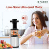 Affordable Slow Juicer Online by Faber India